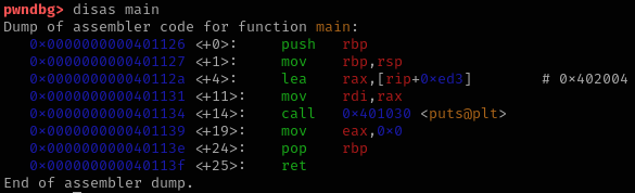Disassembly of the main() function